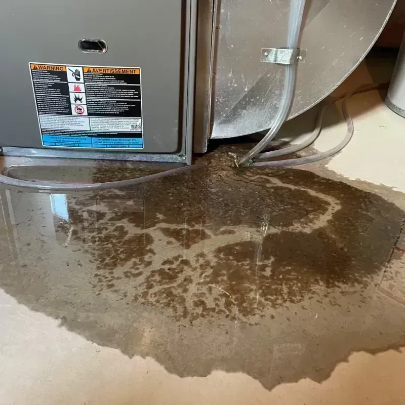 Appliance Leak Cleanup in Troy, MO